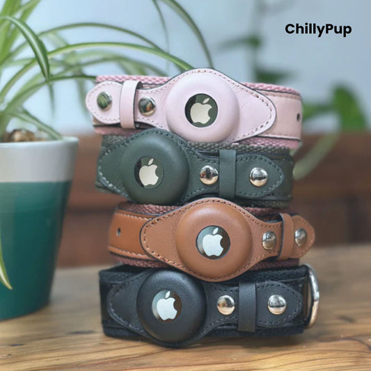 Stack of 4 Apple Airtah dog collars with Apple logo design on a wooden surface, brand 'ChillyPup' visible.
