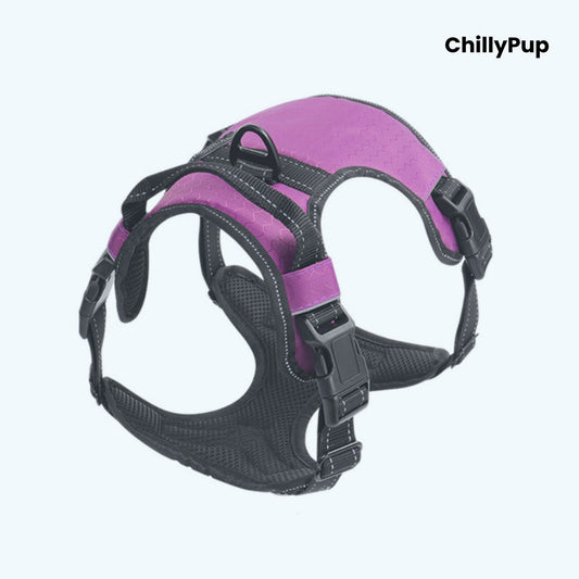 Purple and black dog harness on a white background with 'ChillyPup' branding