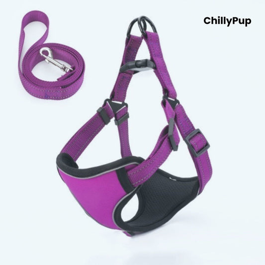 Purple dog harness and lead set with 'ChillyPup' branding on a white background