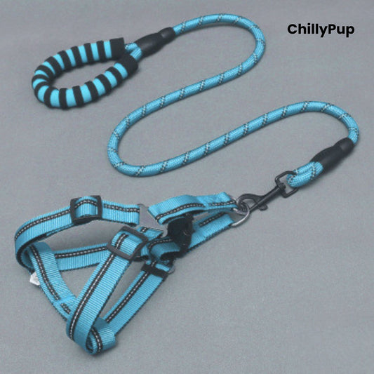 Blue and black dog harness and lead set on a grey background with 'ChillyPup' branding.
