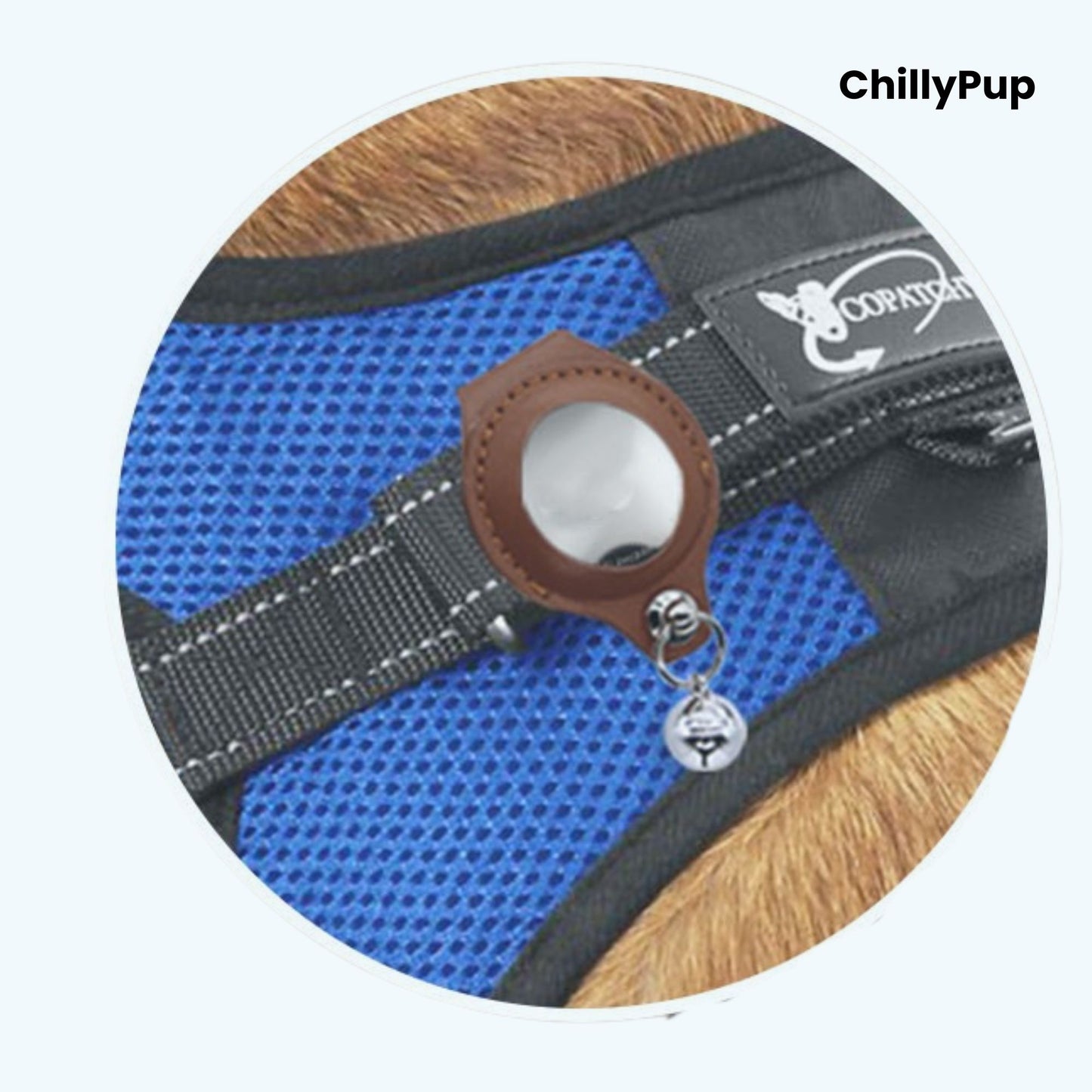 Leather AirTag Dog Collar Holder with Bell – Secure, Stylish & Durable