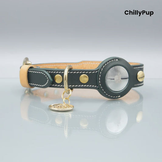 Dog collar with black leather and gold accents on a light grey background, branded 'ChillyPup'.