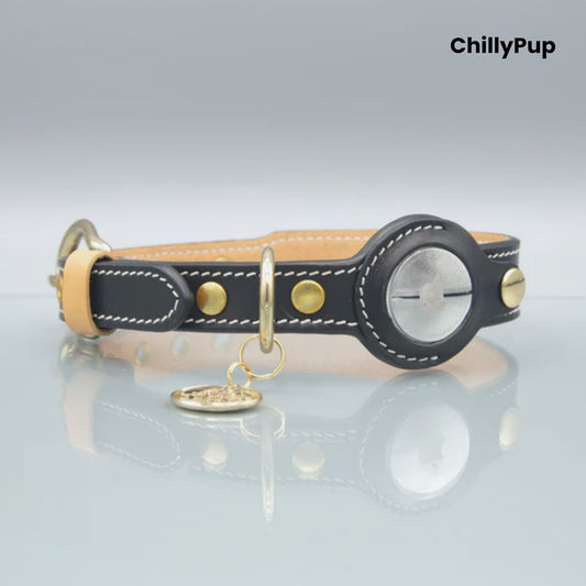 Dog collar with black leather and gold accents on a light grey background, branded 'ChillyPup'.