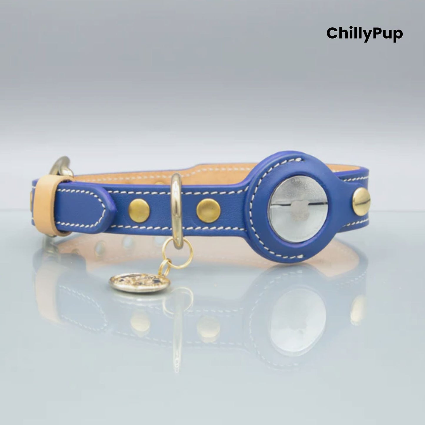 Blue leather dog collar with gold accents on a reflective surface, branded 'ChillyPup'.