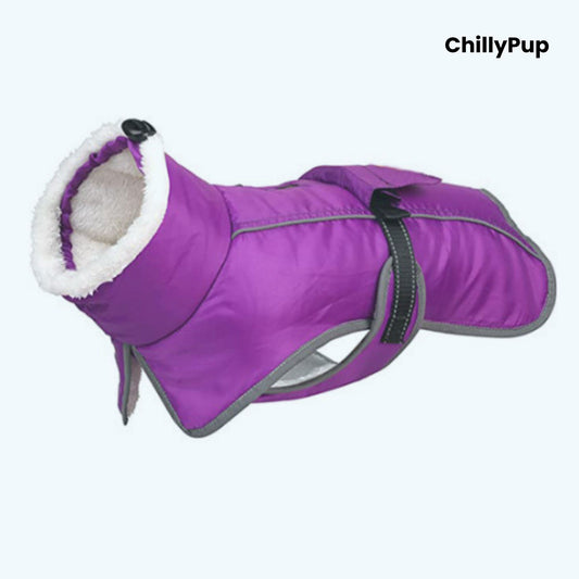 Purple dog coat with white fur lining on a white background, branded 'ChillyPup'.