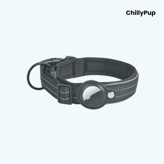 Black Nylon Airtag dog collar with white stitching on a white background, branded 'ChillyPup'.
