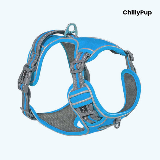Blue and grey dog harness with 'ChillyPup' branding on a white background
