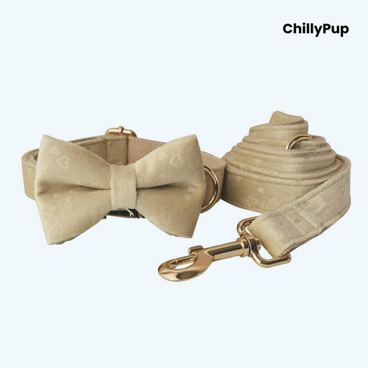 Beige dog collar with bow tie and matching Lead on a white background, branded 'ChillyPup'.
