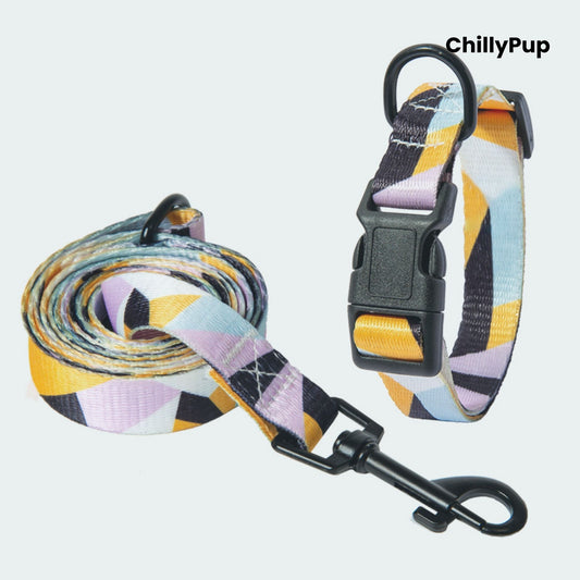 Colourful dog Lead and collar set with geometric pattern on a white background, branded 'ChillyPup'.