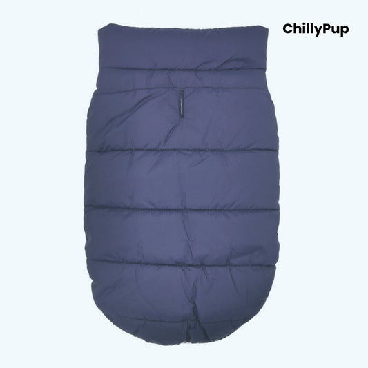 Blue dog coat with 'ChillyPup' branding on a white background
