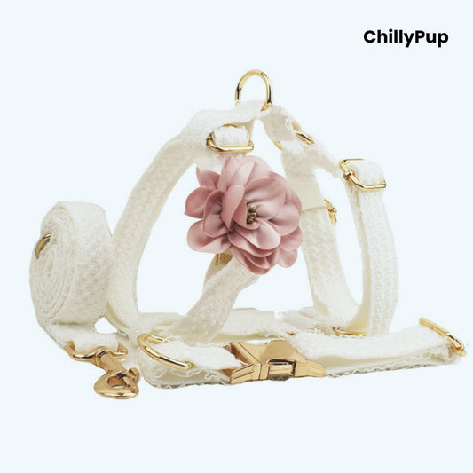 Elegant Wedding Dog Collar, Harness & Lead Set on a white background with Chillypup branding