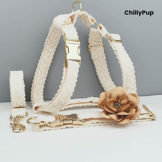 Elegant Wedding Dog Collar, Harness & Lead Set with chillypup branding.