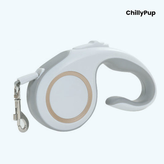 Retractable dog lead with 'ChillyPup' branding on a white background