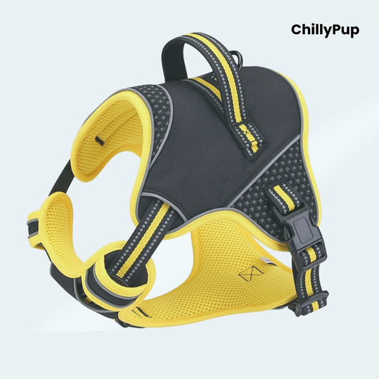 Yellow and black dog harness with 'ChillyPup' branding on a white background