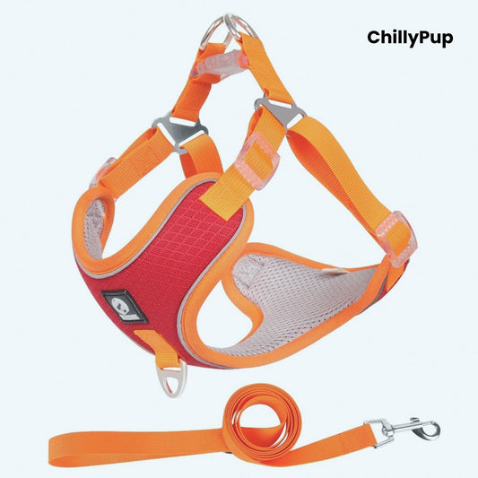 Dog harness and lead set with 'ChillyPup' branding on a white background