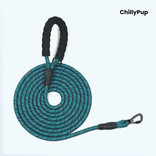Dog lead with patterned design and black clips on a white background, branded 'ChillyPup'.