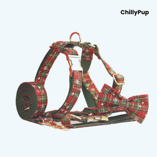 Festive Green harness and lead set with 'ChillyPup' branding on a white background