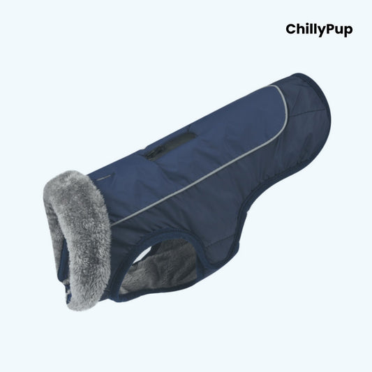 Dog coat with visible 'ChillyPup' branding on a white background