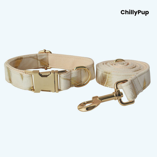 Dog collar and lead set with gold hardware on a white background, branded 'ChillyPup'.