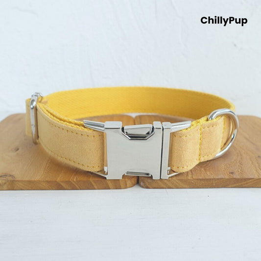 Dog collar with metal buckle on a light wooden surface, branded 'ChillyPup'.