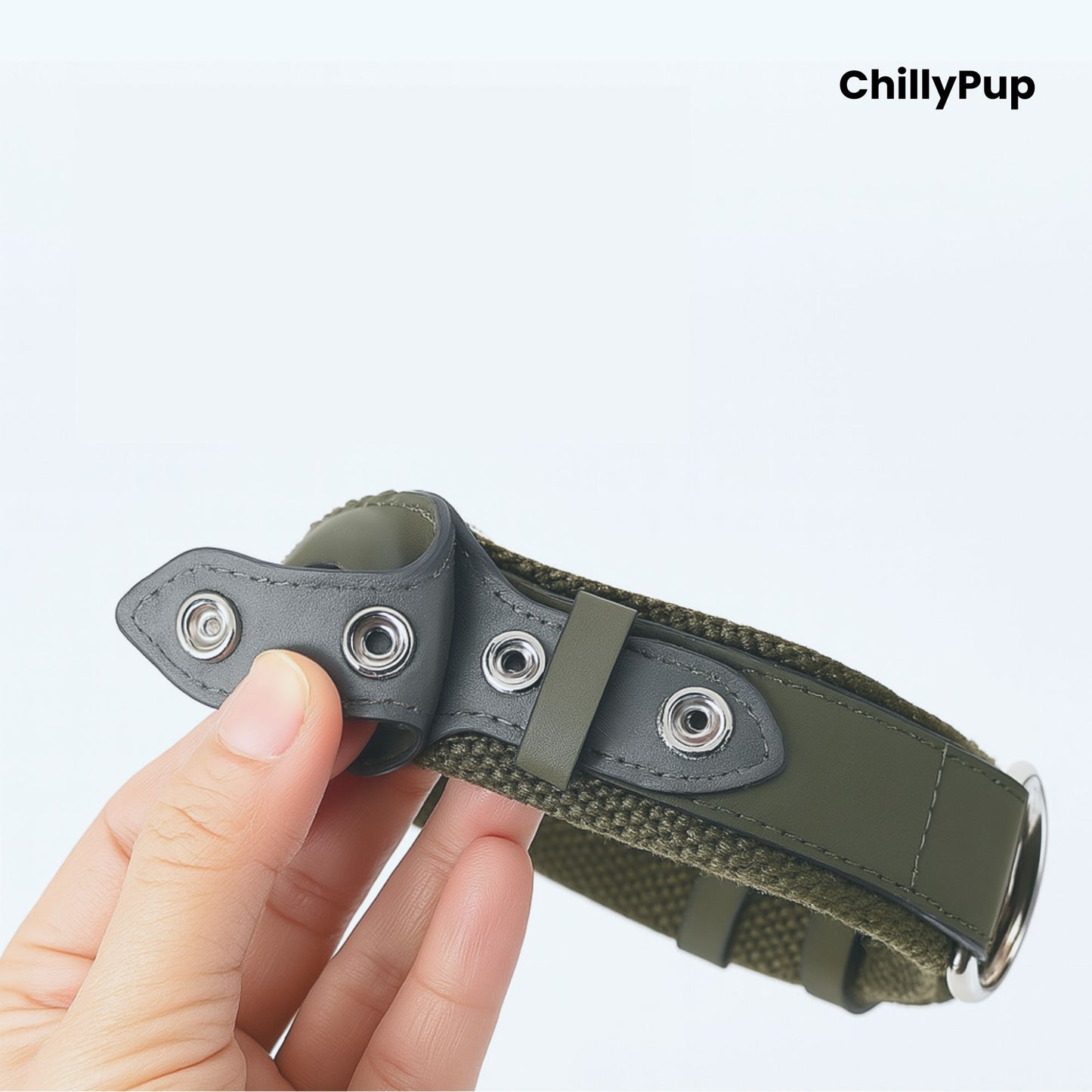 Green dog collar with a metallic clasp and section for Apple Airtag on a white background, branded 'ChillyPup'.
