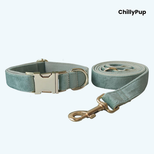Green Collar and Lead Set