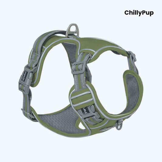 Green and grey dog harness with 'ChillyPup' branding on a white background