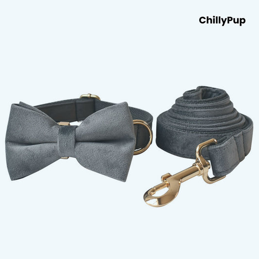 Grey dog collar with bow tie and matching lead on a white background, branded 'ChillyPup'.