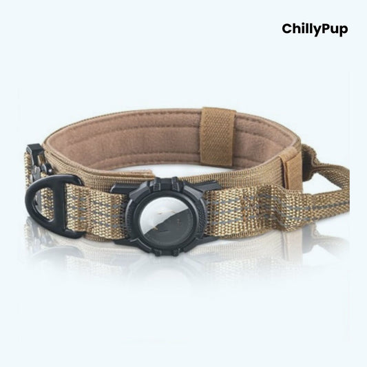 Brown dog collar with black buckle on a white background, branded 'ChillyPup'.