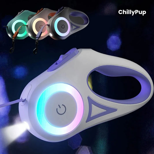 Retractable dog Leads with Purple handle and grey strap on a Blue background, branded 'ChillyPup'.