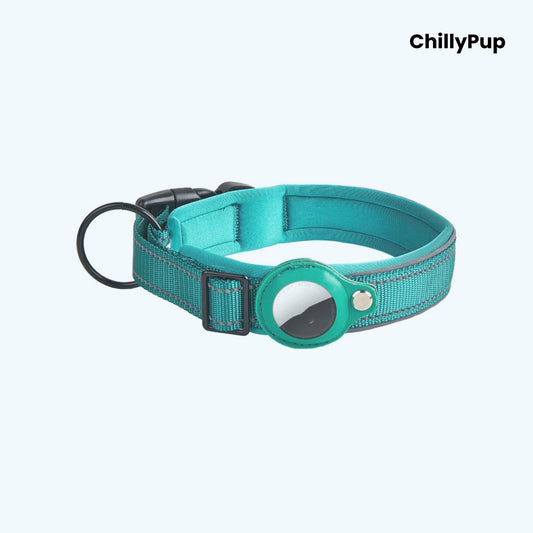 Light Blue Nylon Airtag dog collar with white stitching on a white background, branded 'ChillyPup'.