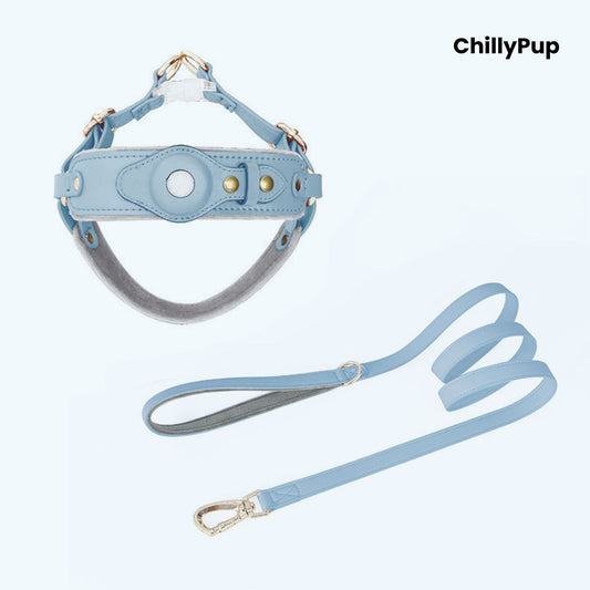 Leather Apple Airtag dog collar and harness on a white background with Chillypup branding.