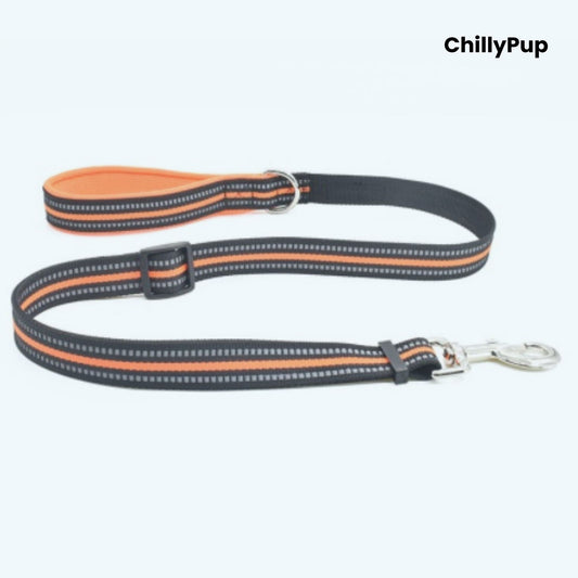 Dog Lead with orange and grey pattern on a white background, branded 'ChillyPup'.