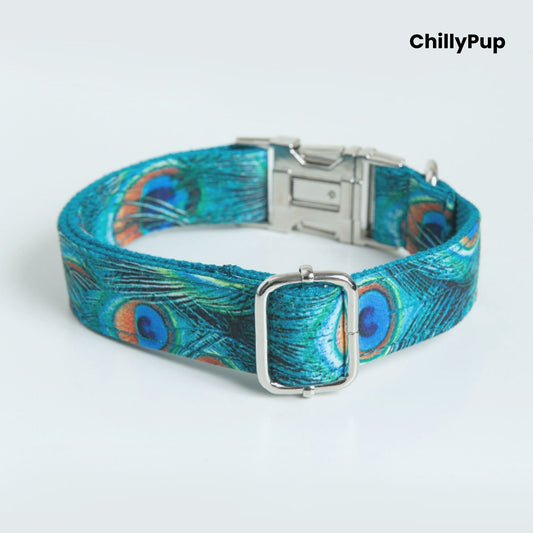 Peacock Feather Dog Collar