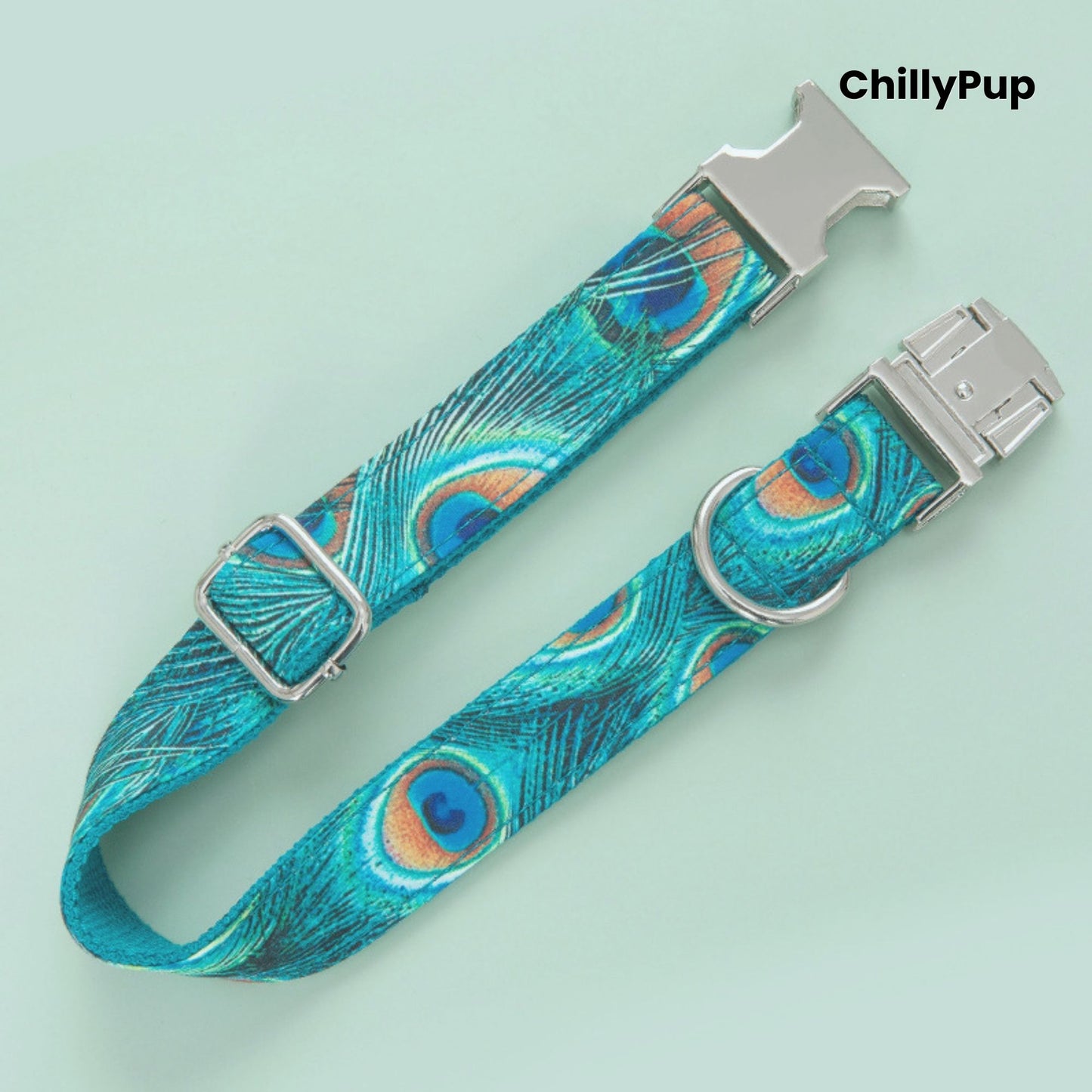 Peacock Feather Dog Collar