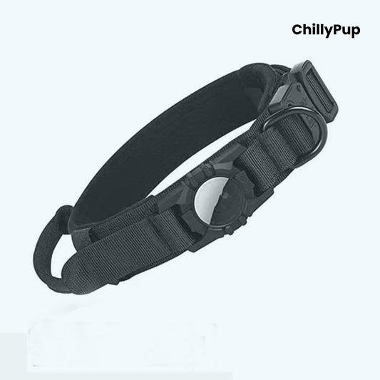 Black dog collar with black hardware on a white background, branded 'ChillyPup'.