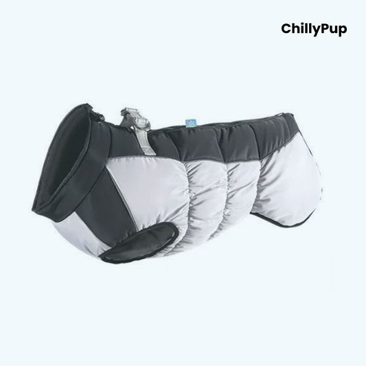 Black and grey dog coat with 'ChillyPup' branding on a white background