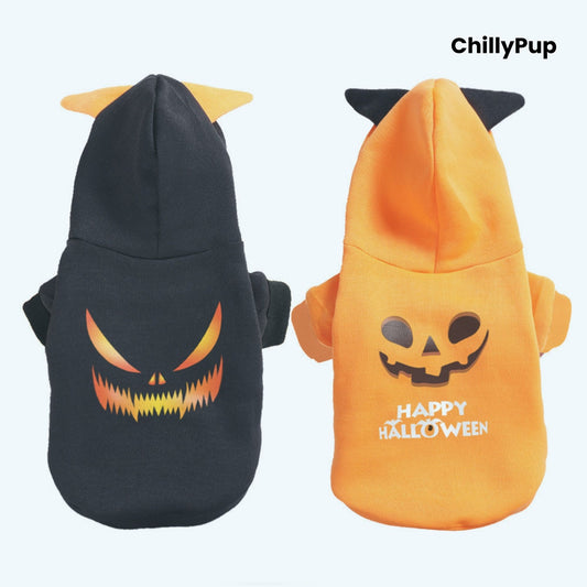 Dog jumper with Halloween writing on chillypup branding