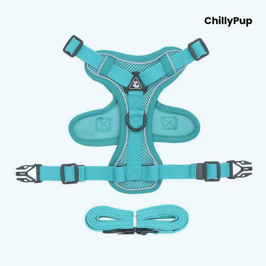 Blue dog harness with matching lead on a white background, branded 'ChillyPup'.