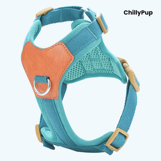 Blue dog harness with orange accents on a white background, branded 'ChillyPup'.