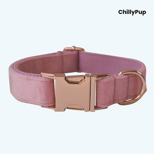Rosé Velvet Collar & Lead Set on a chilly pup branded background