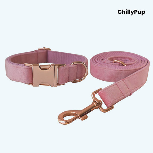 Rosé Velvet Collar & Lead Set on a chilly pup branded background