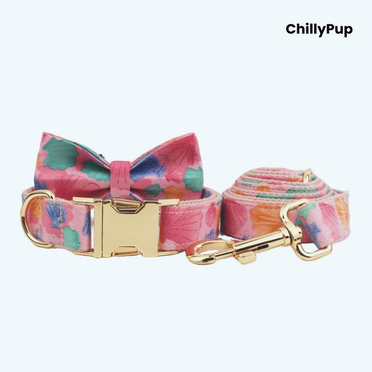 Seashell dog collar and lead set with gold hardware on a white background, branded 'ChillyPup'.