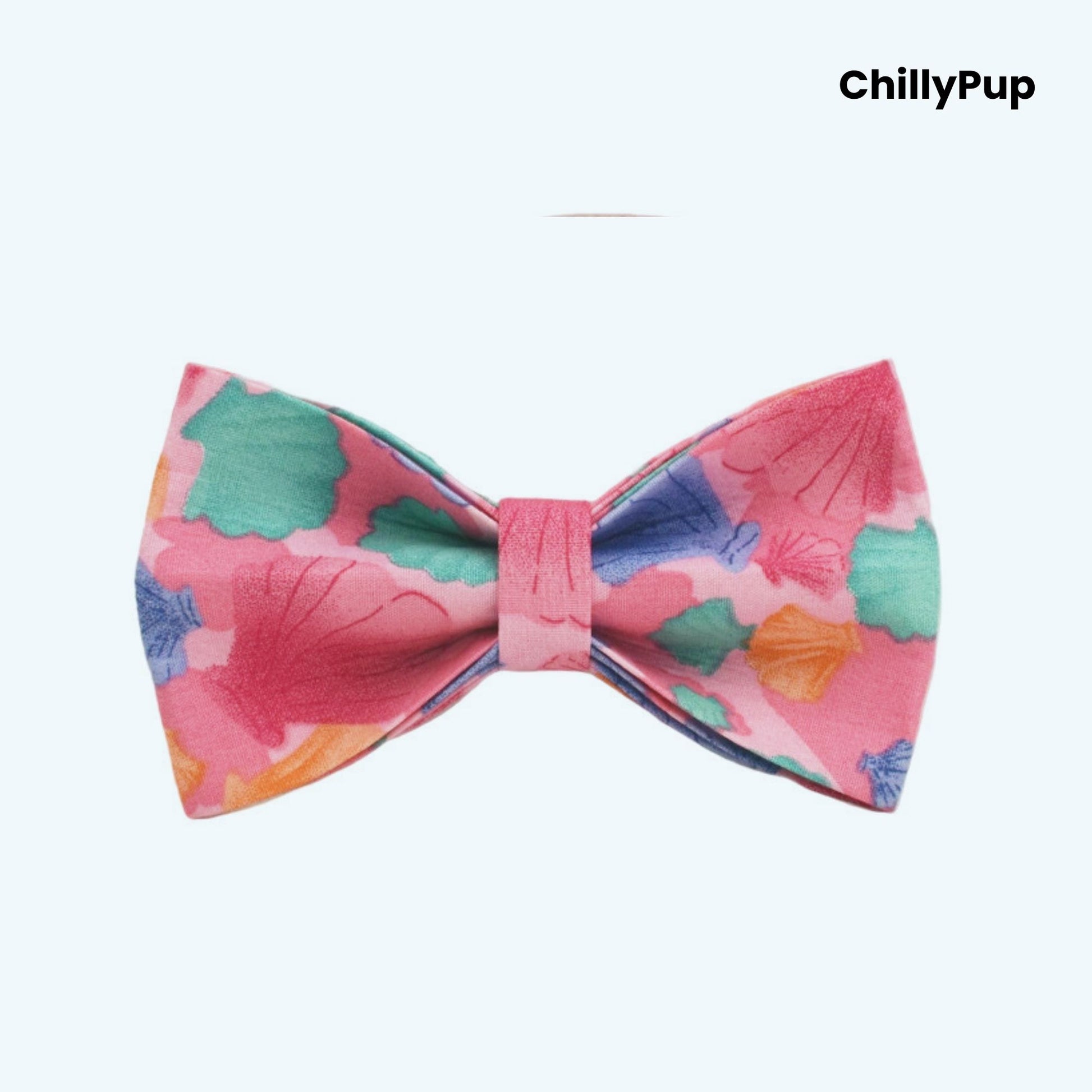 Seashell dog collar and lead set with gold hardware on a white background, branded 'ChillyPup'.