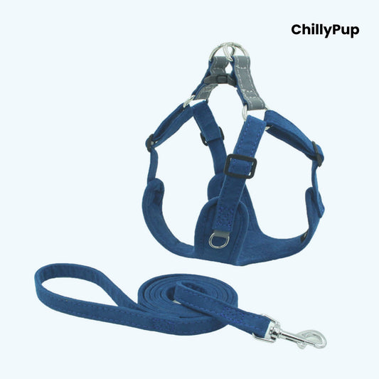 Dog harness with Lead on a white background, branded 'ChillyPup'