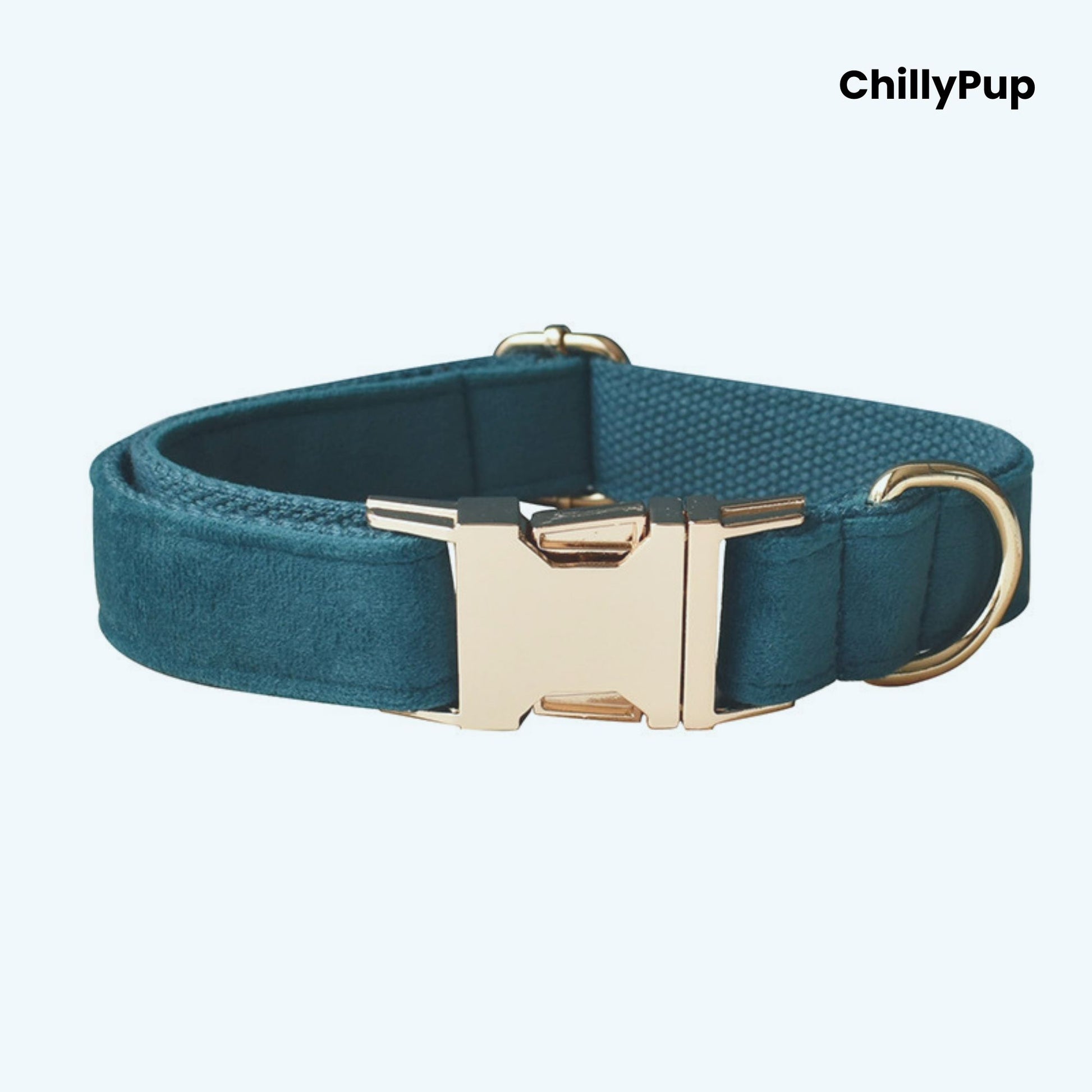 Teal dog collar gold hardware on a light blue background, branded 'ChillyPup'.