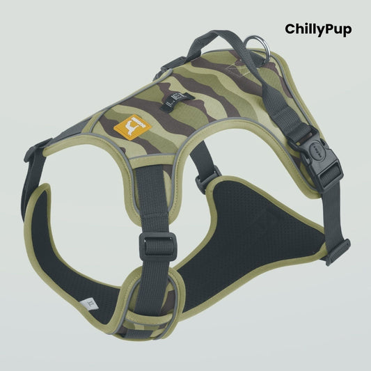 Dog harness with 'ChillyPup' branding on a light grey background