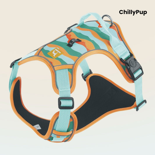 Dog harness with 'ChillyPup' branding on a light grey background