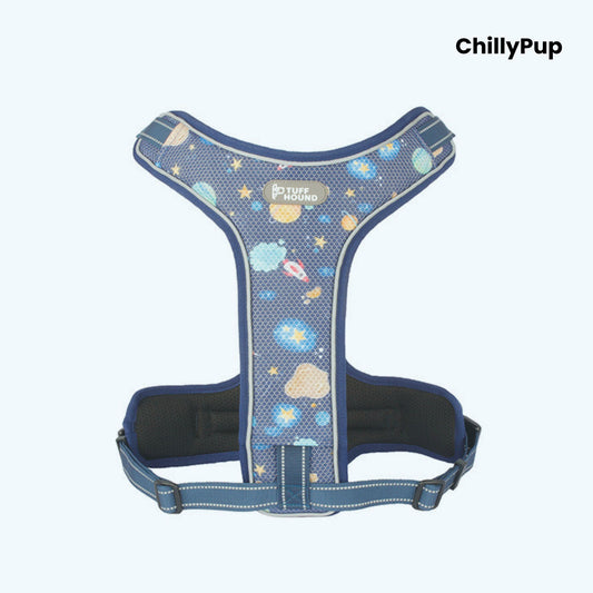 Blue dog harness with 'Tuff Hound' label on a white background, branded 'ChillyPup'.