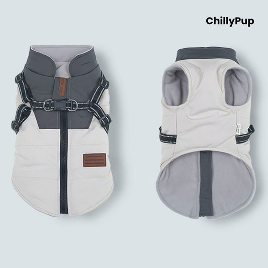Two dog vests with harnesses on a light grey background, branded 'ChillyPup'.